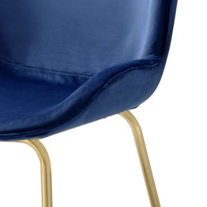 Chuchip Velvet Side Chair