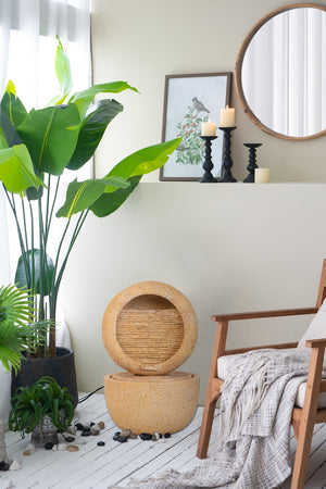 23426898