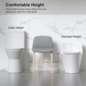 1 Piece Toilet With Dual Flush & Rimless Bowl - Glossy White