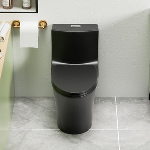 1 Piece Toilet With Dual Flush And Soft Closing Seat