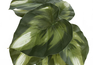 13" Tall, Artificial Plant, Monstera Calthea, Indoor, Faux, Fake, Table, Greenery, Potted, Decorative (Set of 2) - Green / Black - Best Buy Furniture