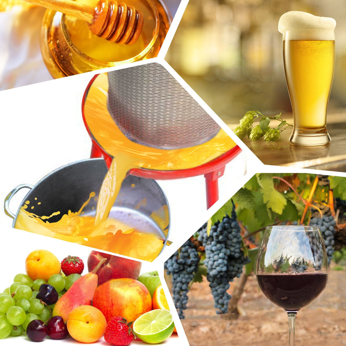 Hydraulic Fruit Wine Press With Apple Crusher - Green