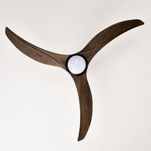 Indoor Outdoor Ceiling Fan With Light With Remote Control, Noiseless Reversible Motor, 6 Speed, 3 Color
