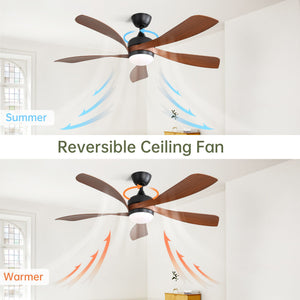 Ceiling Fan & DC Motor And Integrated Light