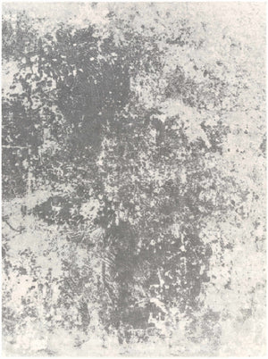 Chriesman Black/Beige Abstract Rug - Clearance