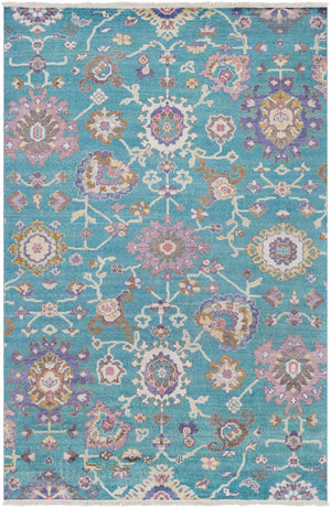 Christopher Area Rug - Clearance