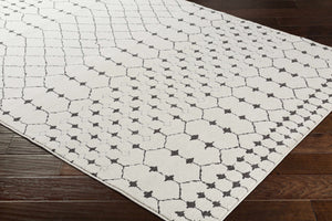 Chubbuck Moroccan Trellis Rug - Clearance
