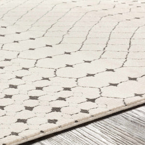 Chubbuck Moroccan Trellis Rug - Clearance