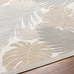 Clef Area Carpet - Clearance