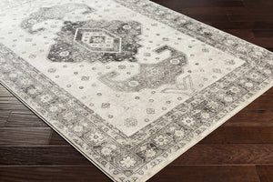 Congress Area Rug - Clearance