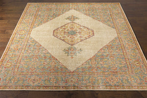 Coraki Area Rug - Clearance