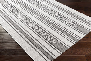 Cowen Outdoor Area Rug - Clearance