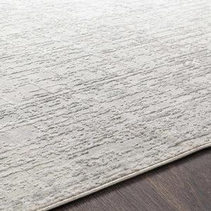 Cozahome Faux Silk Rug