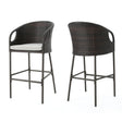 Outdoor 31" Rattan Barstools With Waterproof Cushions (Set of 2) - Multi Brown - Best Buy Furniture
