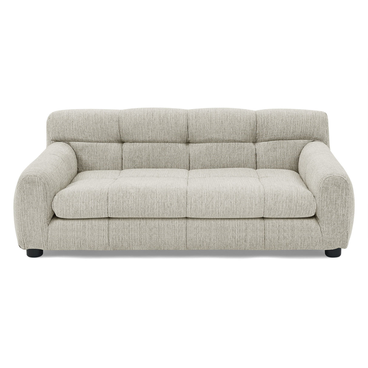 Modern Pet Sofa With Backrest And Armrests