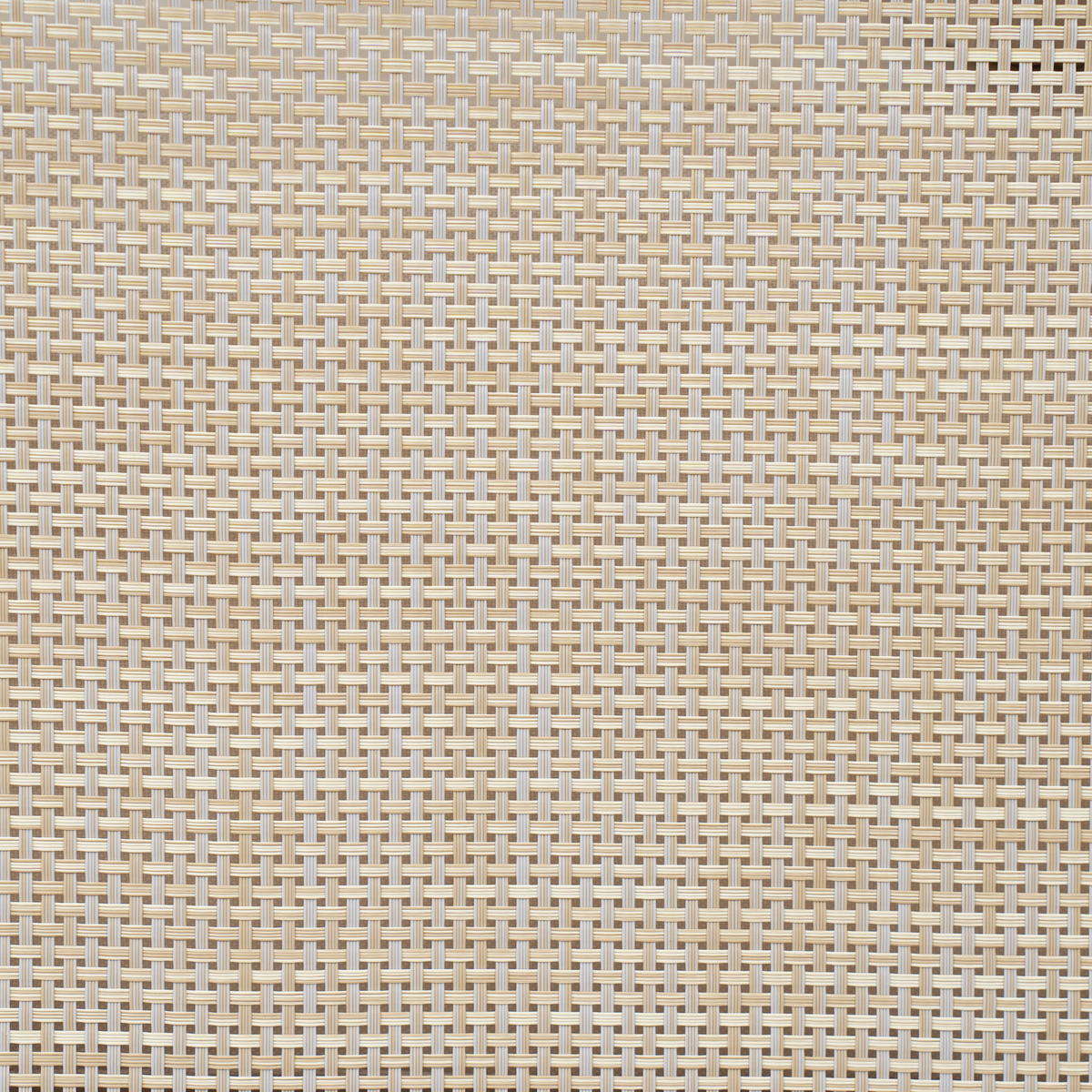 Paola Acacia and Textilene Club Chair
