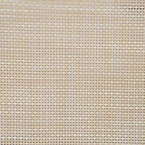 Paola Acacia and Textilene Club Chair