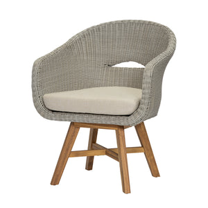 Outdoor Dining Arm Chair with Cushion, Set of 2