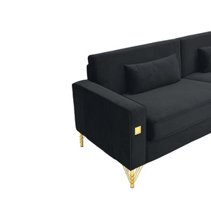 Black Velvet 2-Piece Sofa Set