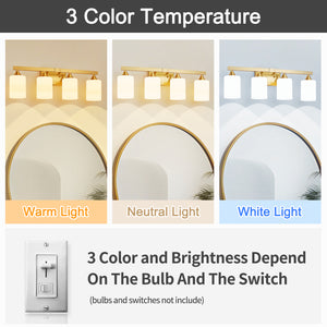 4-Light Brushed Bathroom Vanity Wall Light