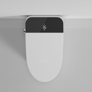 Modern Smart Toilet with Bidet Seat Built-in