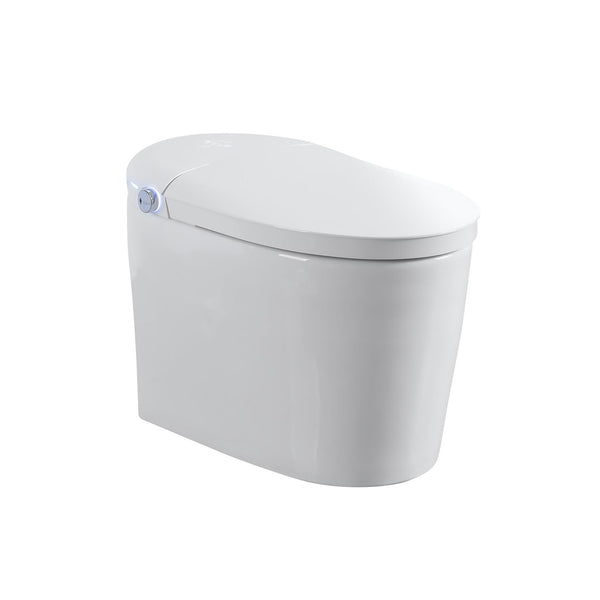 Tankless Smart Toilet With Bidet Built In, 1 Piece, Auto Flush, Auto Open / Close, Heated Seat, Bubble Wash, Warm Water And Dry, Adjustable Temp, Remote Control Side Know - White