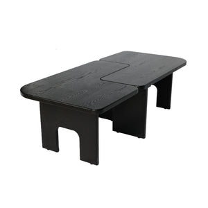 Modern Coffee Table Set
