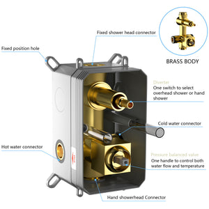 Dual Shower Head System With Ceiling Mount And Rough In Valve