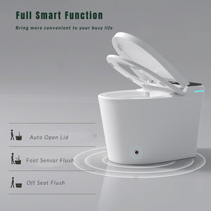 Modern Smart Toilet with Bidet Seat Built-In