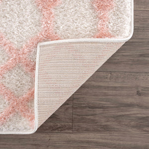 Boutique Rugs Darva Pink Plush Area Carpet - view 18