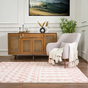 Boutique Rugs Darva Pink Plush Area Carpet - view 6