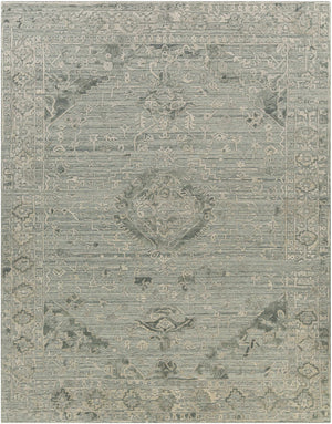 Davilla Area Rug - Clearance