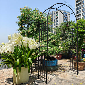 Metal Garden Arch for Climbing Plants