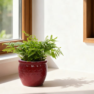 Handmade Ceramic Flower Pot Set of 3