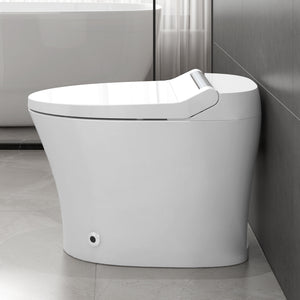 Smart Toilet with Built-in Heated Seat
