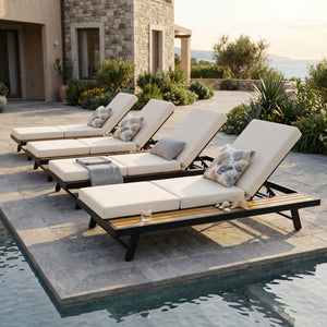 Black Iron + Teak Finish Chaise Lounge Set with Dark Frame