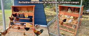 3-in-1 Nesting Boxes for Chickens with Perch and Swing