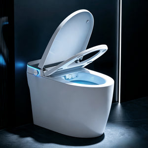Smart Toilets with Heated Bidet Seat
