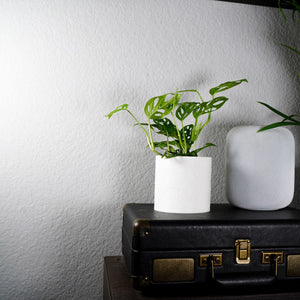 Desert Scape Planter