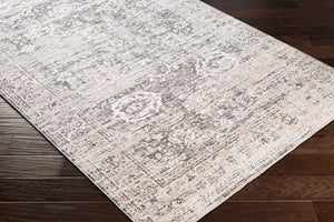Divisoria Area Rug - Clearance