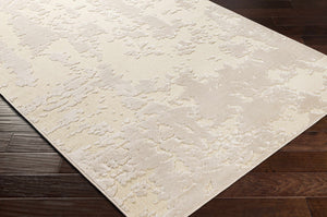 Donnycarney Area Rug - Clearance