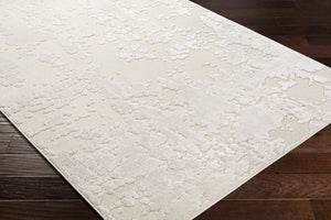 Donnycarney Area Rug - Clearance