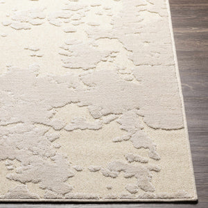 Donnycarney Area Rug - Clearance