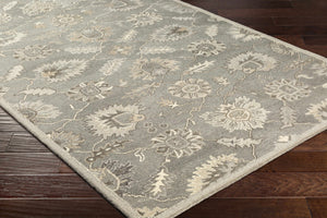 Dulles Area Rug