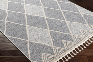 Dumlan Area Carpet - Clearance