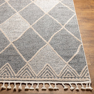 Dumlan Area Carpet - Clearance