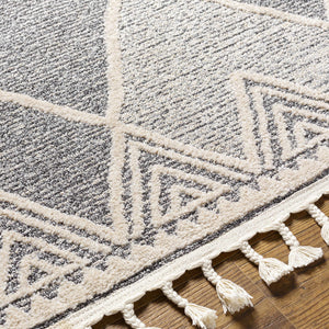 Dumlan Area Carpet - Clearance