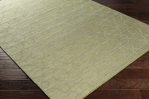 Dunedoo Flatweave Area Carpet - Clearance