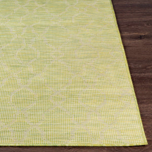 Dunedoo Flatweave Area Carpet - Clearance