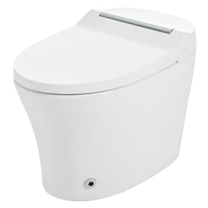 Smart Toilet with Built-in Heated Seat